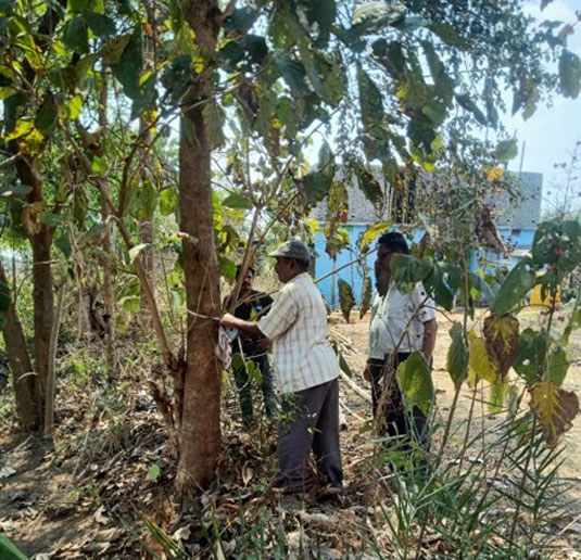 Structure measurement for land acquisition compensation